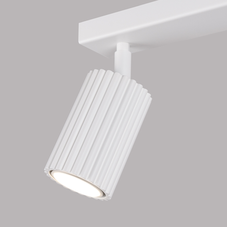 Bodové svítidlo KARBON 2xGU10/10W/230V bílá