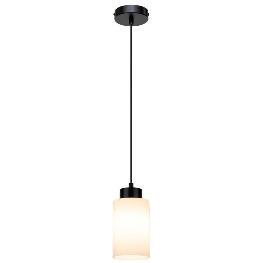 Lustr na lanku BOSCO 1xE27/60W/230V