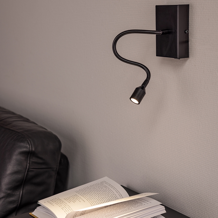 LED Nástěnné svítidlo LECTOR LED/2,5W/230V černá