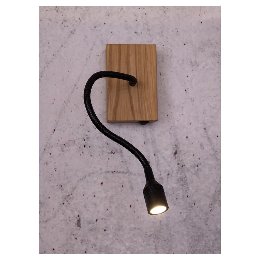 LED Nástěnné svítidlo LECTOR LED/2,5W/230V dub – FSC certifikováno