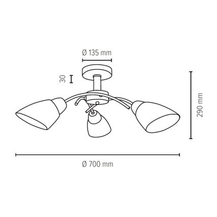 Přisazený lustr VILETTA 3xE27/60W/230V