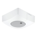 Steinel 057411 - Světelný senzor DUAL-E DALI2 hranatý bílá