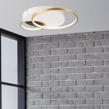 Stmívatelné stropní svítidlo BENITO LED/31W/230V 3000-6500K bílá/zlatá