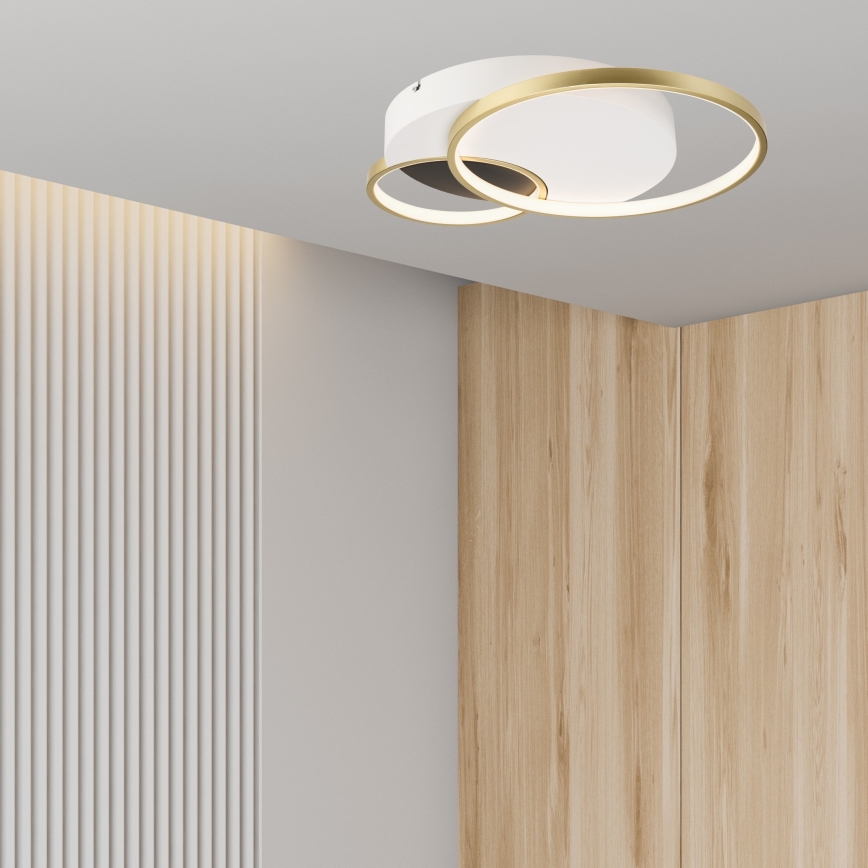 Stmívatelné stropní svítidlo BENITO LED/31W/230V 3000-6500K bílá/zlatá