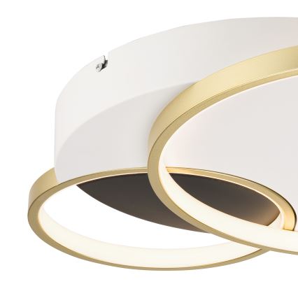 Stmívatelné stropní svítidlo BENITO LED/31W/230V 3000-6500K bílá/zlatá