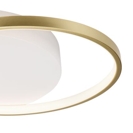 Stmívatelné stropní svítidlo BENITO LED/31W/230V 3000-6500K bílá/zlatá