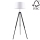 Stojací lampa TRIPOD 1xE27/60W/230V buk – FSC certifikováno