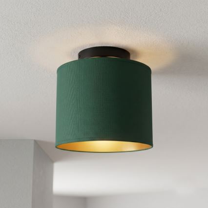 Stropní svítidlo ARDEN 1xE27/15W/230V pr. 18 cm zelená