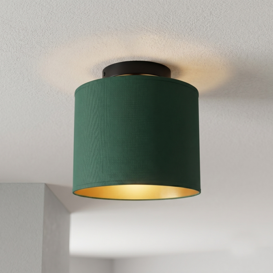 Stropní svítidlo ARDEN 1xE27/15W/230V pr. 18 cm zelená