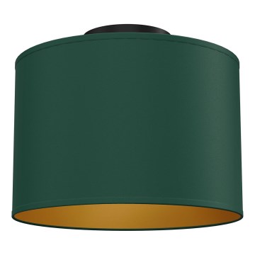 Stropní svítidlo ARDEN 1xE27/15W/230V pr. 25 cm zelená