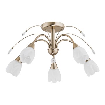 Stropní svítidlo BASTER 5xE14/10W/230V zlatá