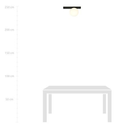 Stropní svítidlo FIT 1xE14/10W/230V černá/bílá