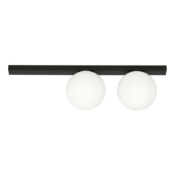 Stropní svítidlo FIT 2xE14/10W/230V černá/bílá