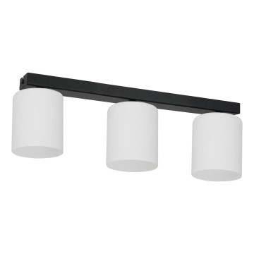 Stropní svítidlo FORT 3xE27/60W/230V