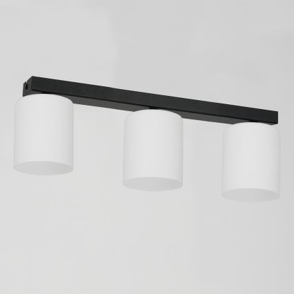 Stropní svítidlo FORT 3xE27/60W/230V