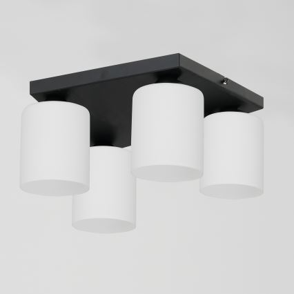 Stropní svítidlo FORT 4xE27/60W/230V
