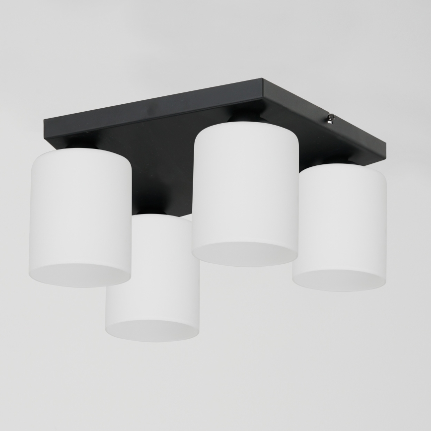 Stropní svítidlo FORT 4xE27/60W/230V