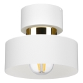 Stropní svítidlo IGNIA 1xE27/60W/230V bílá