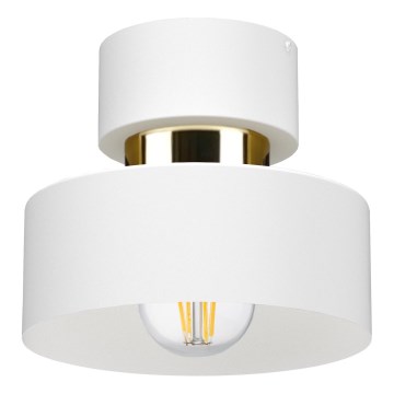 Stropní svítidlo IGNIA 1xE27/60W/230V bílá