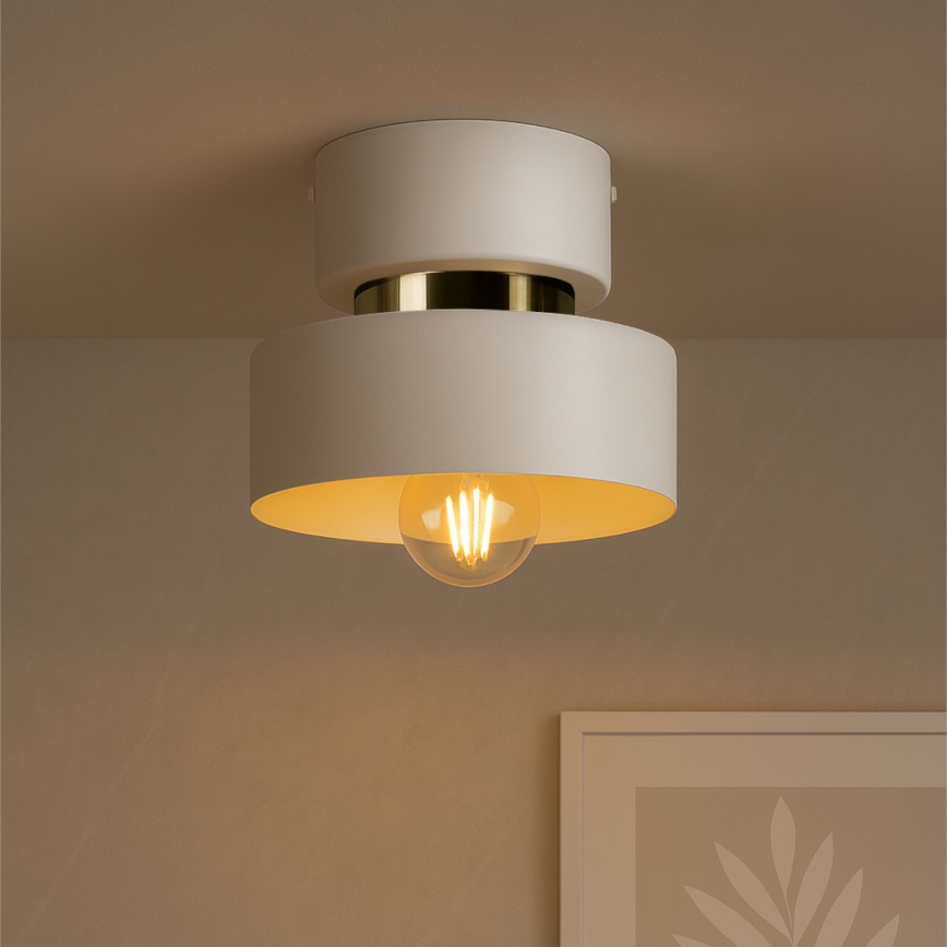 Stropní svítidlo IGNIA 1xE27/60W/230V bílá