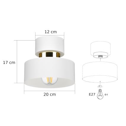 Stropní svítidlo IGNIA 1xE27/60W/230V bílá