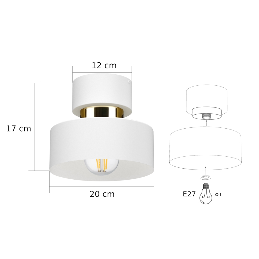 Stropní svítidlo IGNIA 1xE27/60W/230V bílá