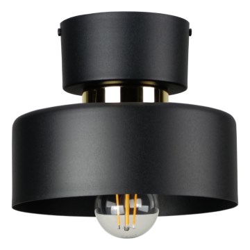 Stropní svítidlo IGNIA 1xE27/60W/230V černá
