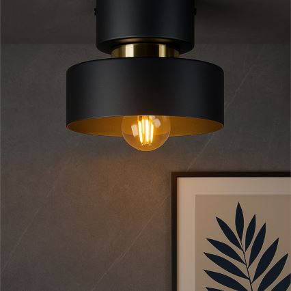 Stropní svítidlo IGNIA 1xE27/60W/230V černá