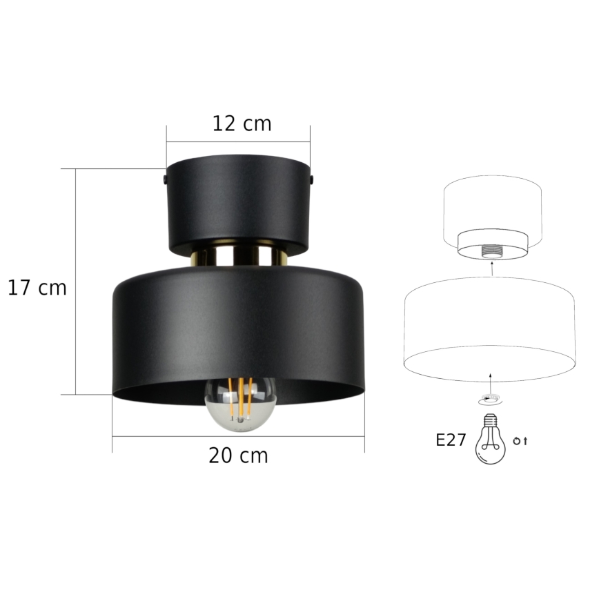 Stropní svítidlo IGNIA 1xE27/60W/230V černá