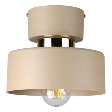 Stropní svítidlo IGNIA 1xE27/60W/230V taupe