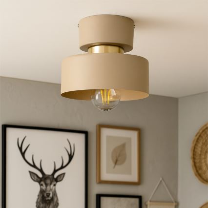 Stropní svítidlo IGNIA 1xE27/60W/230V taupe