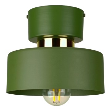 Stropní svítidlo IGNIA 1xE27/60W/230V zelená