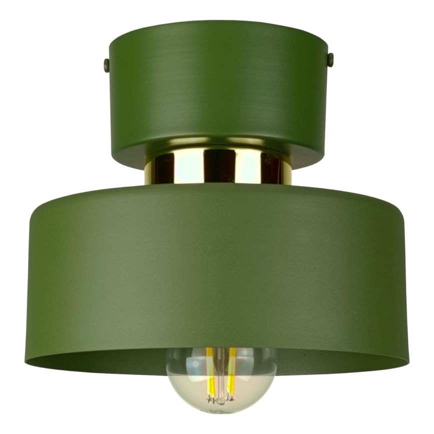 Stropní svítidlo IGNIA 1xE27/60W/230V zelená