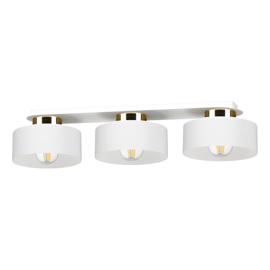 Stropní svítidlo IGNIA 3xE27/60W/230V bílá