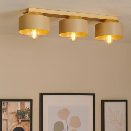 Stropní svítidlo IGNIA 3xE27/60W/230V taupe