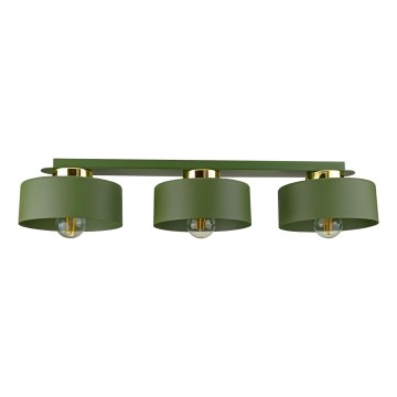 Stropní svítidlo IGNIA 3xE27/60W/230V zelená