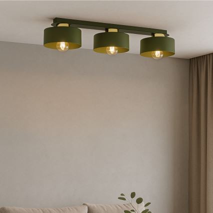 Stropní svítidlo IGNIA 3xE27/60W/230V zelená