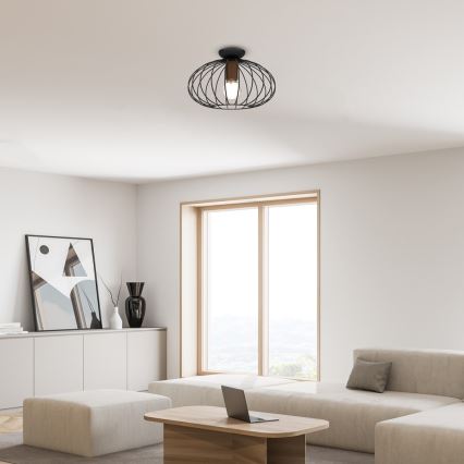 Stropní svítidlo MERIDIANO 1xE27/60W/230V