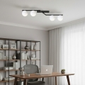 Stropní svítidlo NATON 4xE14/10W/230V černá/bílá