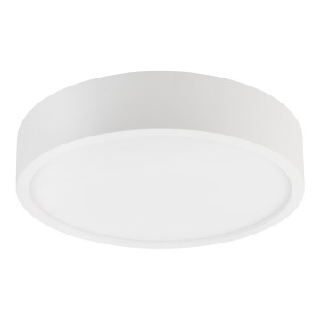 Stropní svítidlo NATURAL 3xE27/15W/230V pr. 37,5 cm borovice/bílá