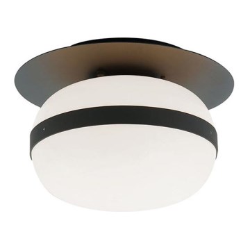 Stropní svítidlo PALMA 1xE27/40W/230V černá