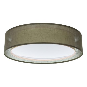 Stropní svítidlo PURO 2xE27/40W/230V pr. 60 cm zelená