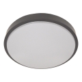 Stropní svítidlo se senzorem WILTON 2xE27/60W/230V pr. 33 cm antracit