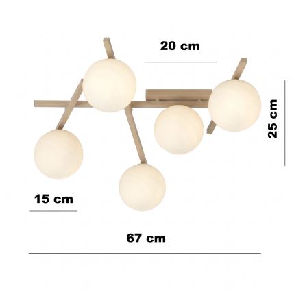Stropní svítidlo SMART 5xE14/10W/230V béžová/bílá