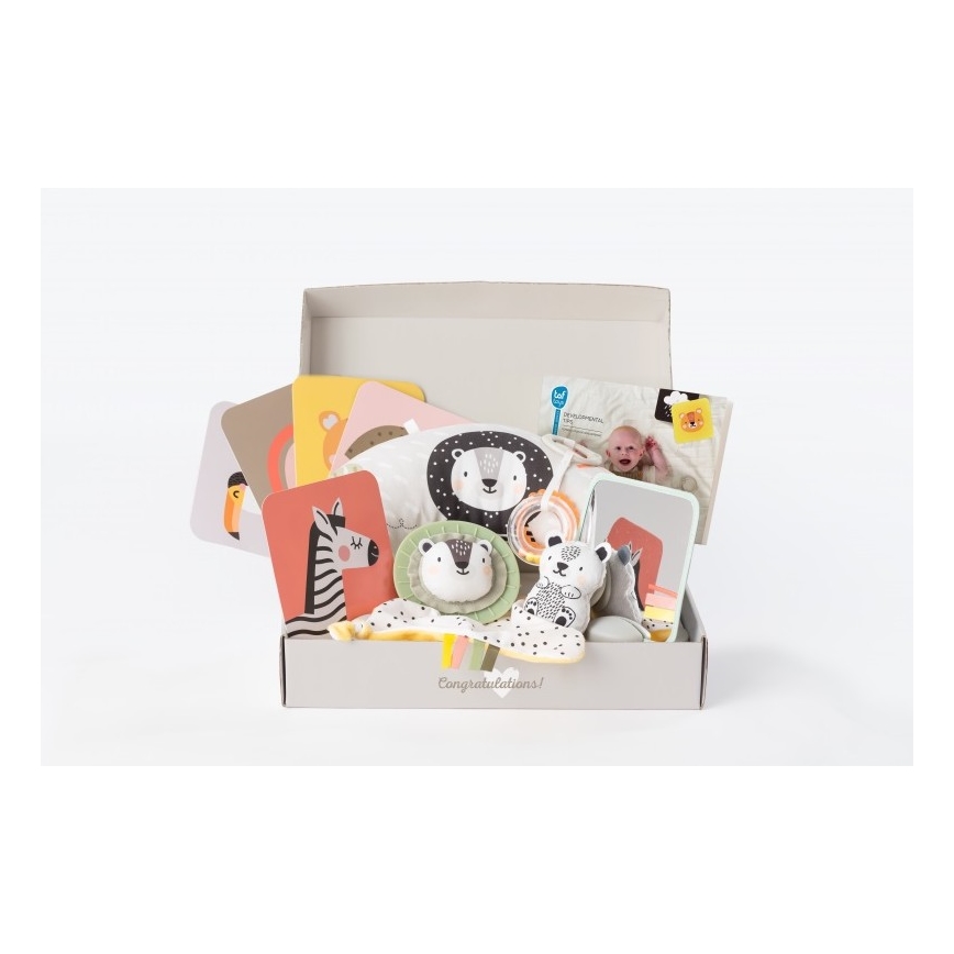 Taf Toys - Dárkový box HELLO BABY