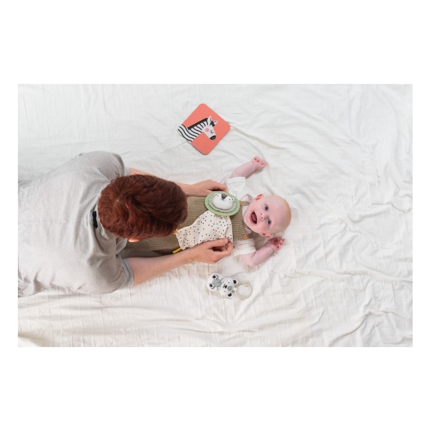 Taf Toys - Dárkový box HELLO BABY