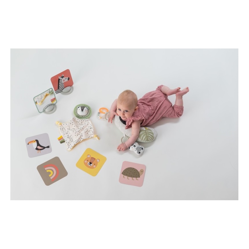 Taf Toys - Dárkový box HELLO BABY
