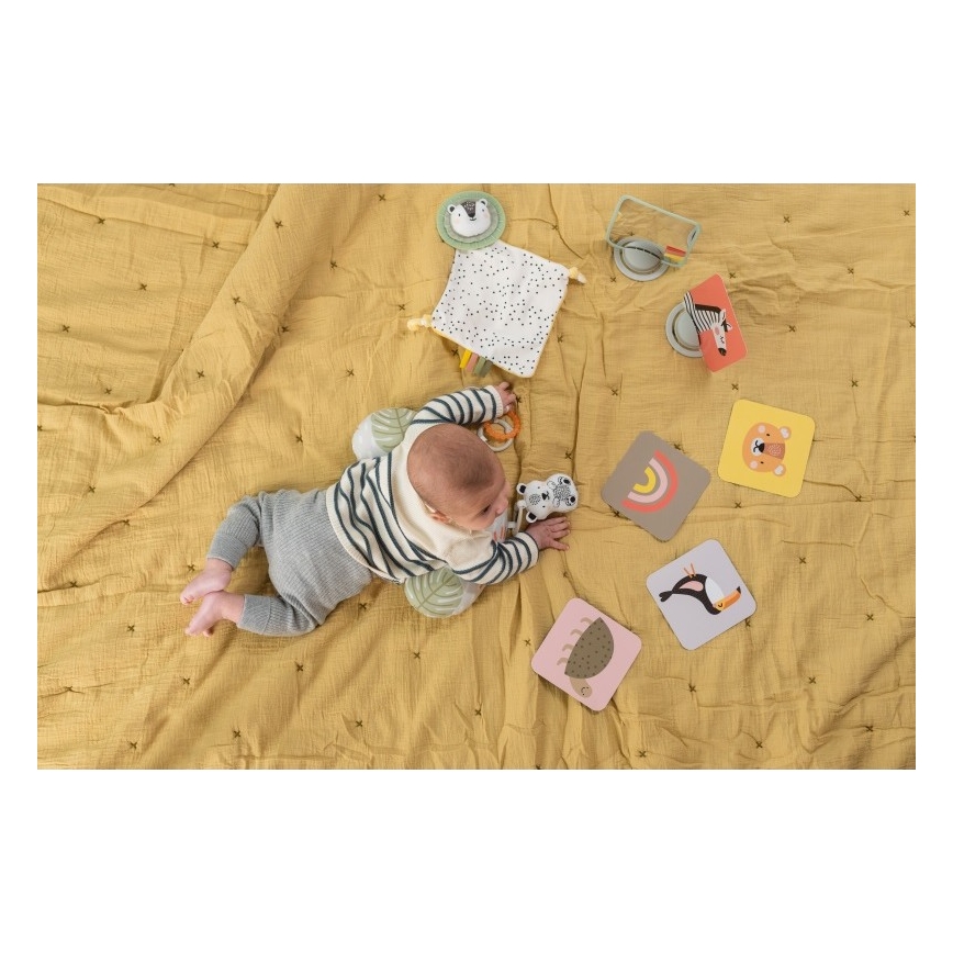 Taf Toys - Dárkový box HELLO BABY
