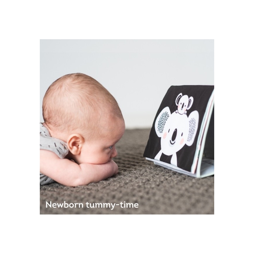Taf Toys - Dětská textilní knížka se zrcátkem koala