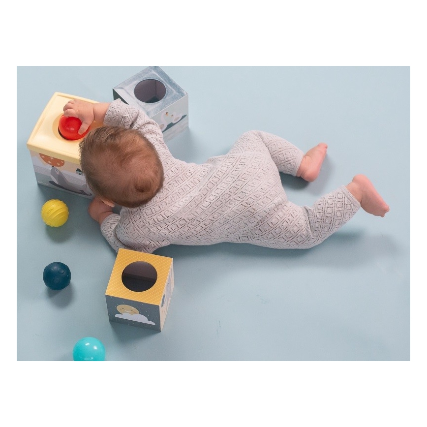 Taf Toys - Interaktivní hrací sada severní pól